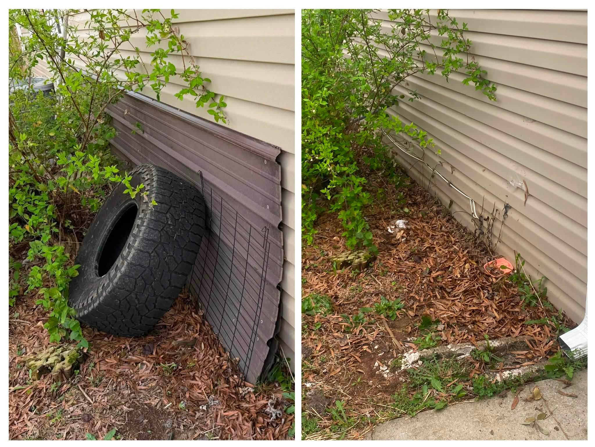 Yard cleanup before and after